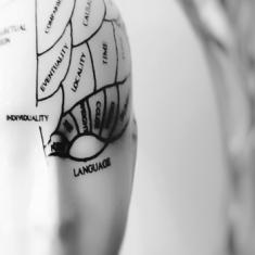 Evaluación y rehabilitación neuropsicológica