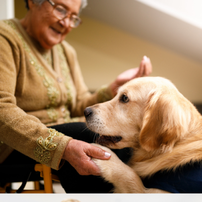 Terapias no farmacológicas en personas mayores. Montessori, roboterapia y terapia asistida con animales
