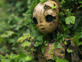 Congreso Virtual Internacional de Psiquiatría, Psicología y Salud Mental (Interpsiquis)